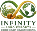 iae final logo no background